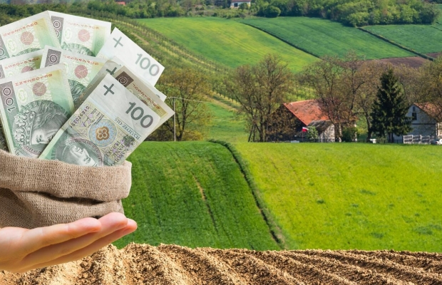 Kapitał Strategiczny dla Twojego Biznesu – Bez Barier i Bez Zbędnych Pytań - Zdjęcie 1