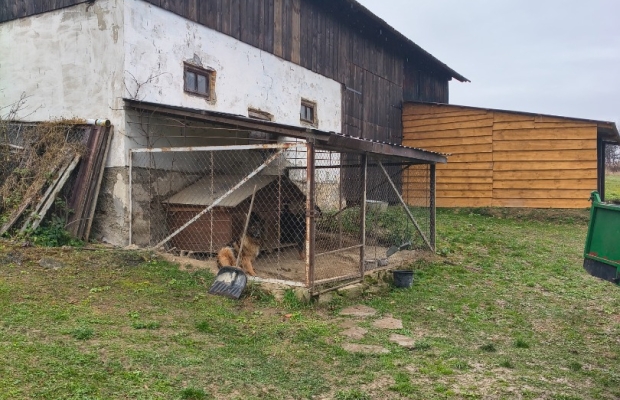 Sprzedam gospodarstwo - Zdjęcie 2