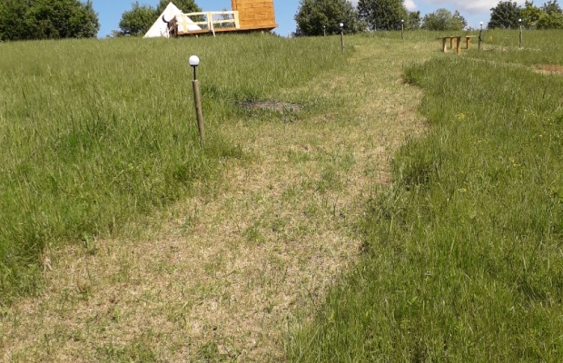 Sprzedam gospodarstwo - Zdjęcie 8