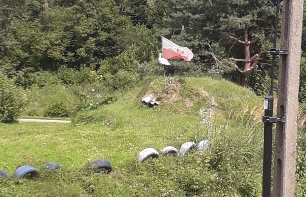 Sprzedam gospodarstwo - Zdjęcie 5