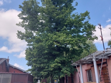 Zdjęcie: Nieruchomość w Dąbrowie Górniczej przy al. J Piłsudskiego