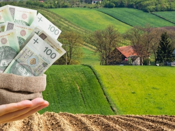 Zdjęcie: Kapitał Strategiczny dla Twojego Biznesu – Bez Barier i Bez Zbędnych Pytań